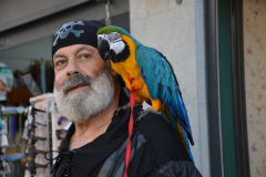 DSC_4362